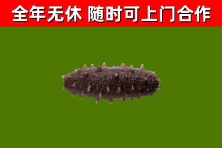 德钦县烟酒回收干海参.jpg